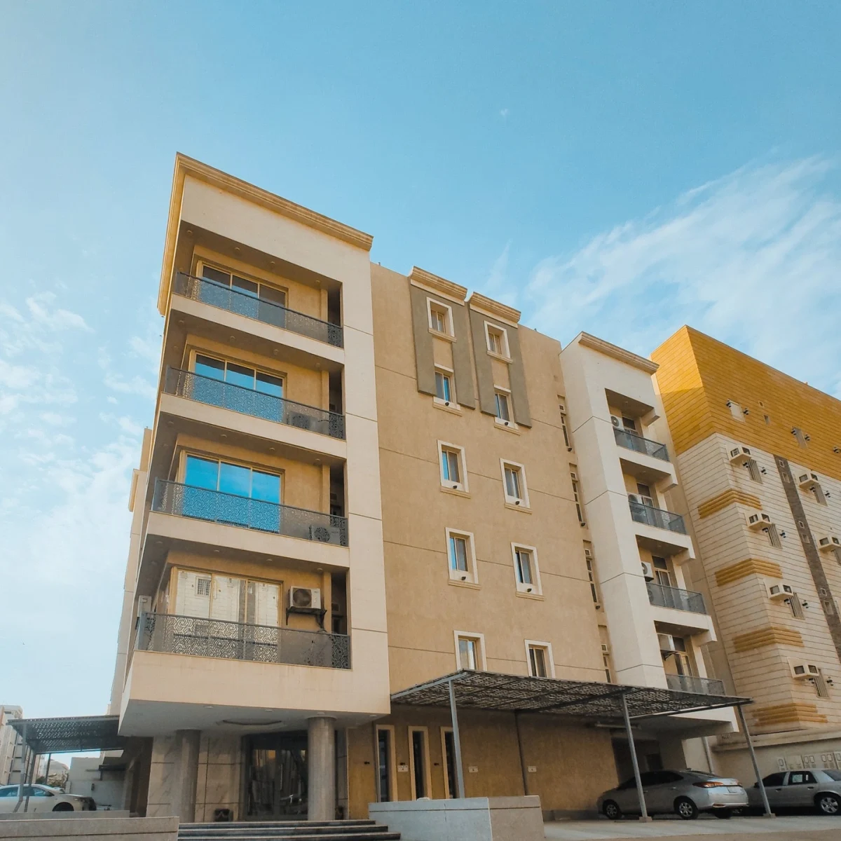 مشروع 100